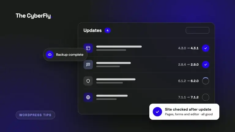 Illustration of a WordPress updates screen with a completed backup and a site check after updating